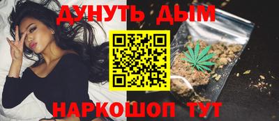 индика Новозыбков