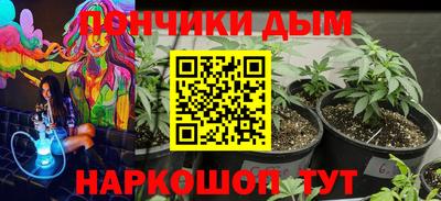 индика Новозыбков