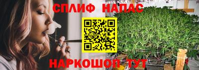 индика Новозыбков