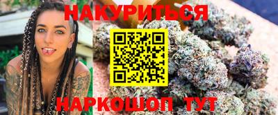 индика Новозыбков