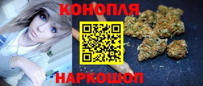 индика Новозыбков