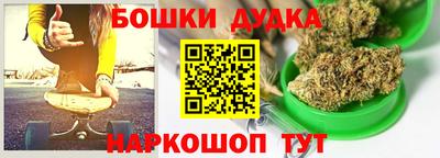 индика Новозыбков